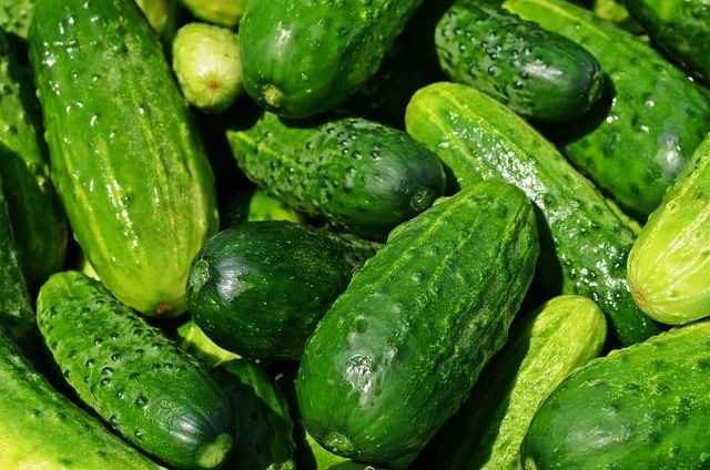Complément alimentaire prise de masse