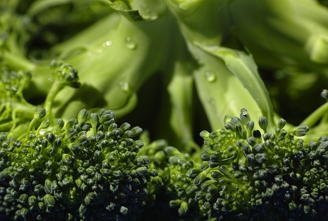 Quel complément alimentaire pour la mémoire ?