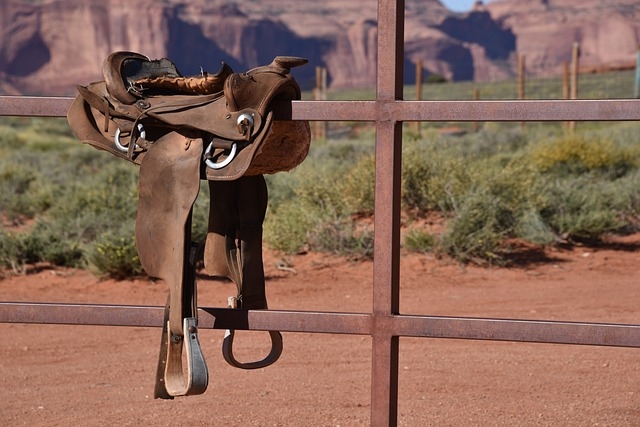 Quel complément pour un vieux cheval ?