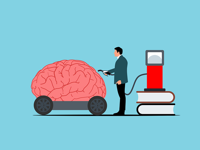 Quel est le carburant pour le cerveau ?