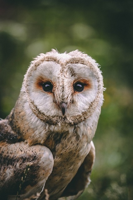 Quel est le meilleur produit naturel pour dormir ?
