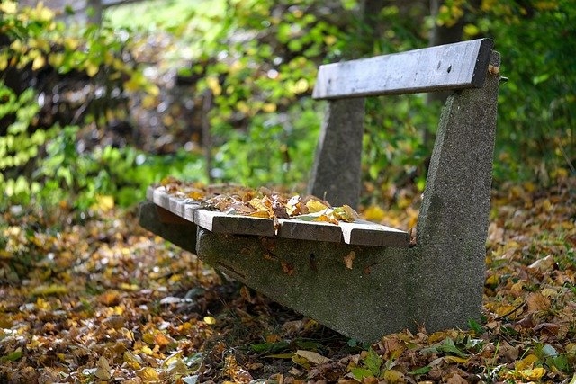 Quel remède naturel pour la mémoire ?