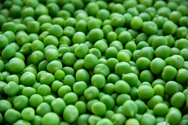 Quelle est la meilleure vitamine pour la fatigue ?