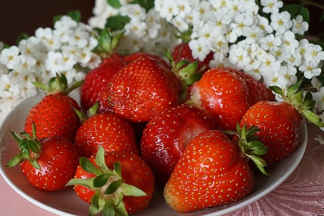 Quelle vitamine pour bander fort ?